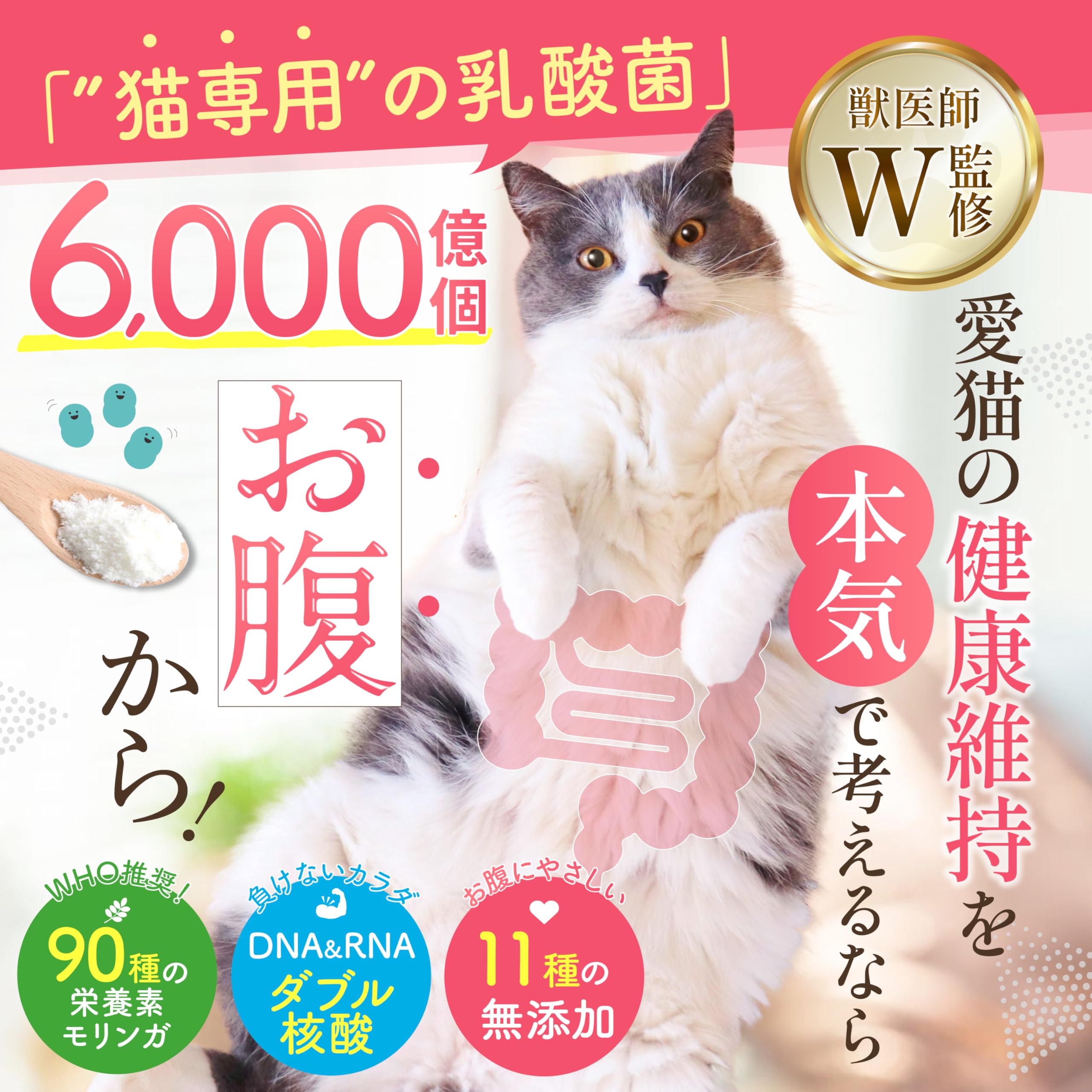【愛猫家の人気1位❗️】kokona ここな　猫用サプリメント　4袋セット Amazon.co.jp: ここな kokona 猫 乳酸菌 酵素 サプリメント モリンガ